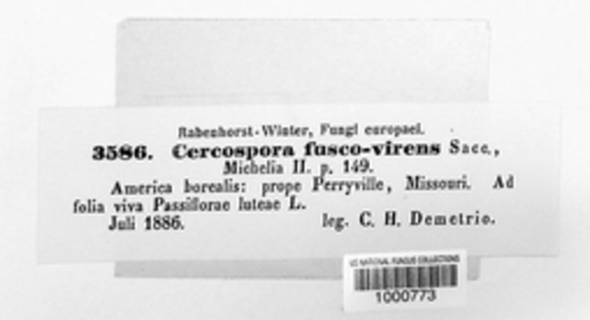 Passalora fuscovirens image